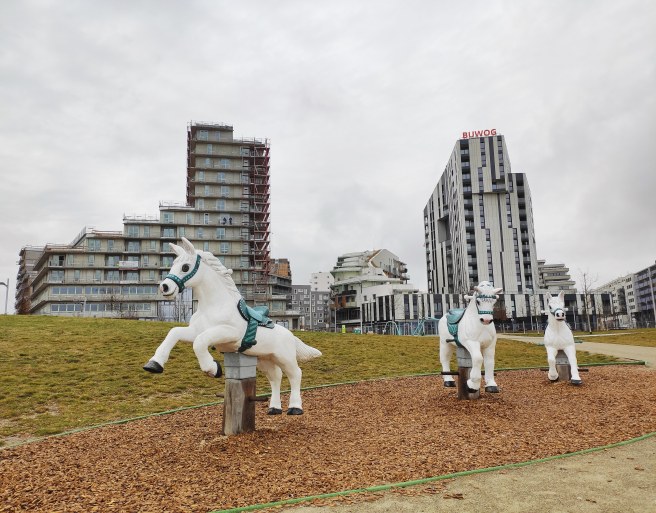 IMG_20200306_111523_540